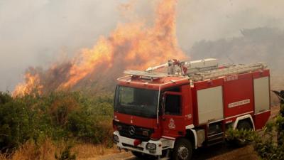 Φλώρινα: Απαγορευτικό σε οχήματα και ανθρώπους για τον κίνδυνο πυρκαγιάς στα δάση της Φλώρινας