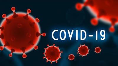 Έρευνα ανατροπή: Η νόσος Covid-19 είναι αγγειακή και όχι αναπνευστική
