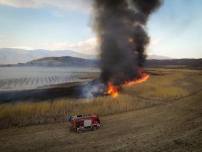Ο Σύλλογος Προστασίας Βεγορίτιδας για τις φωτιές που καταστρέφουν τους καλαμιωνες της λίμνης