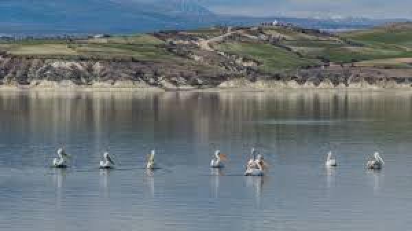 Λίμνη Πολυφύτου : Μία λίμνη σε σοβαρό αδιέξοδο , με μεγάλα προβλήματα από την υπεραλίευση