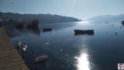 Ο μεγαλόσωμος Κύκνος σπάζει το πάγο στην λίμνη της Καστοριάς! (βίντεο)