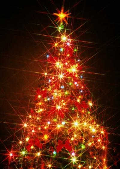 Την Τρίτη ο δήμος Κοζάνης θα φωταγωγίσει το χριστουγεννιάτικο δέντρο της πόλης