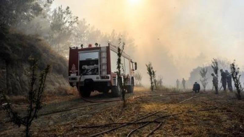 Συγκέντρωση ειδών πρώτης ανάγκης για τις πυρόπληκτες περιοχές της Εύβοιας απο τους δήμους Κοζάνης, Εορδαίας και Καστοριάς